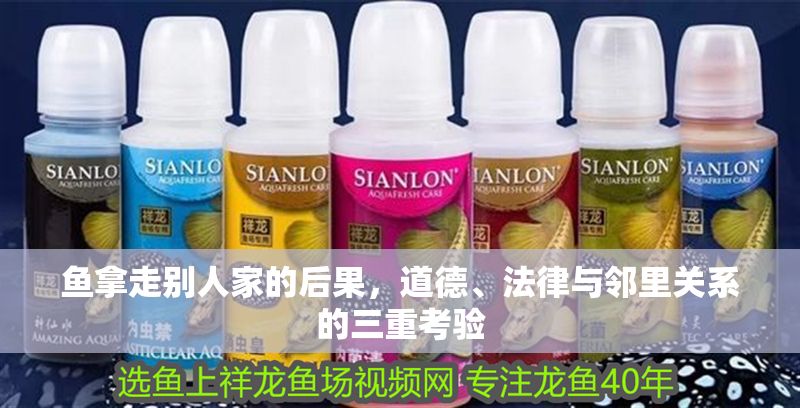 魚拿走別人家的后果，道德、法律與鄰里關系的三重考驗 魚拿走別人家的后果，道德、法律與鄰里關系的三重考驗 龍魚百科 第1張