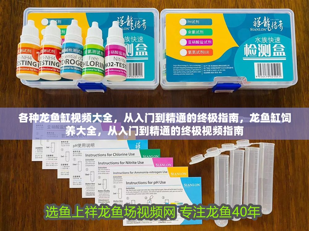 各種龍魚缸視頻大全,從入門到精通的終極指南,龍魚缸飼養(yǎng)大全,從入門到精通的終極視頻指南 龍魚常見疾病 第1張 各種龍魚缸視頻大全,從入門到精通的終極指南,龍魚缸飼養(yǎng)大全,從入門到精通的終極視頻指南 各種龍魚缸視頻大全,從入門到精通的終極指南,龍魚缸飼養(yǎng)大全,從入門到精通的終極視頻指南 龍魚常見疾病 第1張