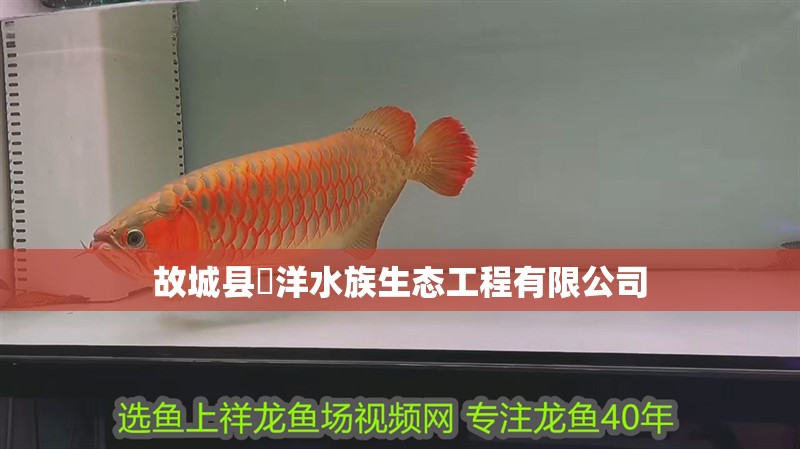 魚缸過濾器選購指南:自制魚缸過濾器魚缸上置過濾器對于養魚愛好者的必備知識 故城縣沺洋水族生態工程有限公司 全國水族館企業名錄 故城縣沺洋水族生態工程有限公司 故城縣沺洋水族生態工程有限公司 全國水族館企業名錄