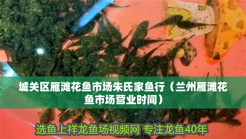 城關區雁灘花魚市場朱氏家魚行（蘭州雁灘花魚市場營業時間）
