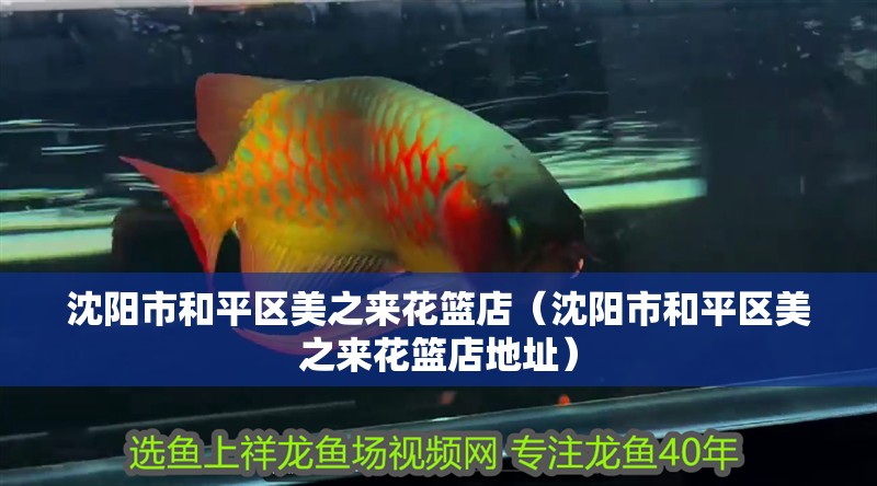 沈陽市<strong><mark>和平</mark></strong>區美之來花籃店（沈陽市<strong><mark>和平</mark></strong>區美之來花籃店地址）