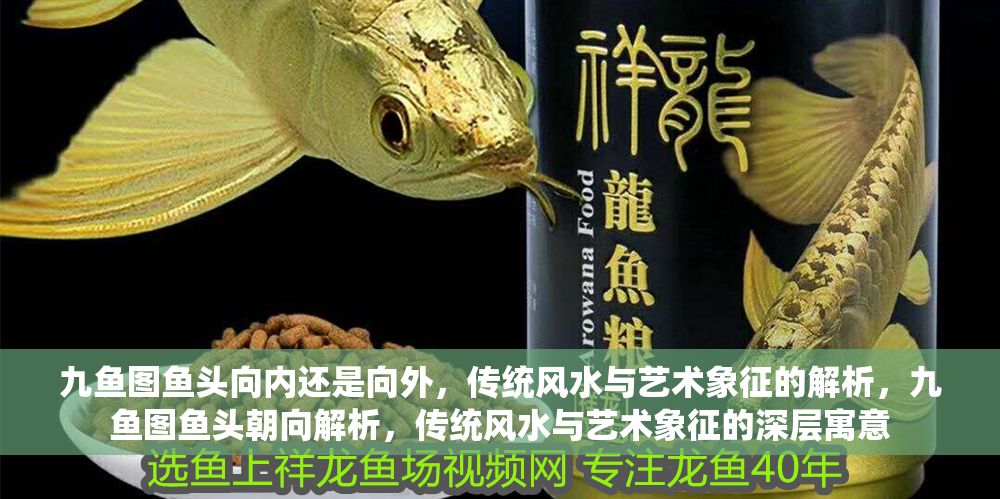 九魚圖魚頭向內還是向外，傳統風水與藝術象征的解析，九魚圖魚頭朝向解析，傳統風水與藝術象征的深層寓意