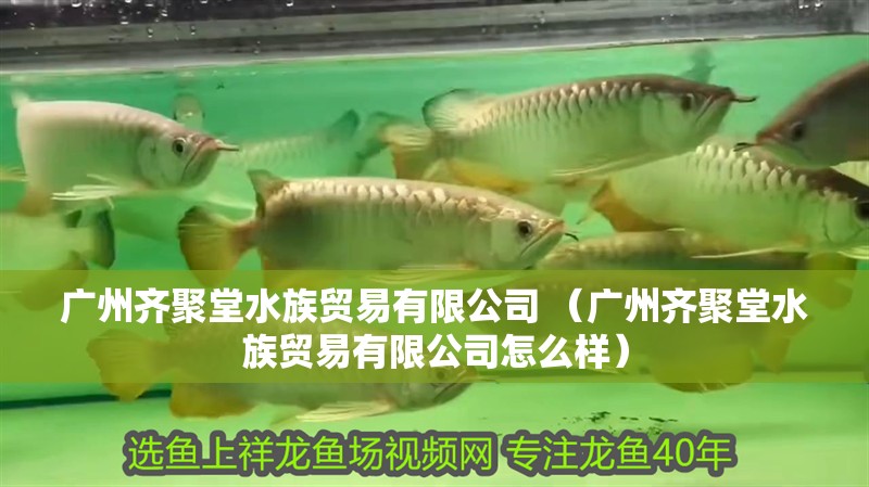 廣州齊聚堂水族貿易有限公司 （廣州齊聚堂水族貿易有限公司怎么樣）