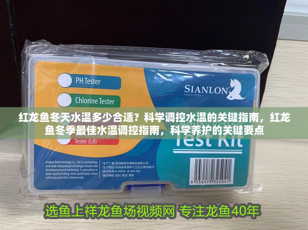 紅龍魚冬天水溫多少合適？科學調控水溫的關鍵指南，紅龍魚冬季最佳水溫調控指南，科學養護的關鍵要點
