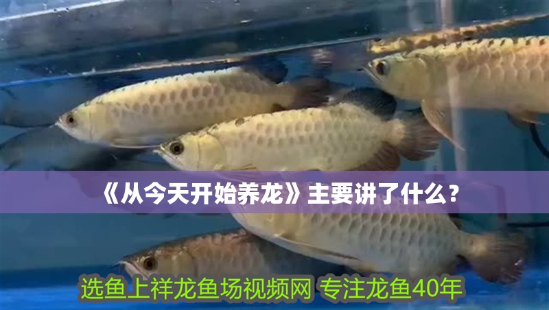 《從今天開始養(yǎng)龍》主要講了什么？