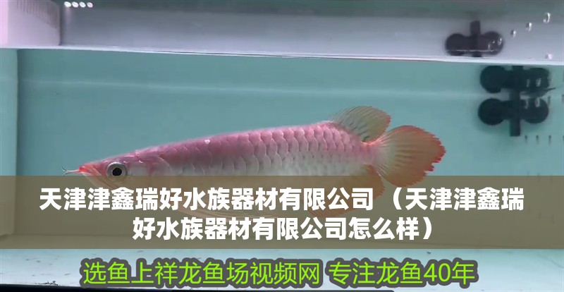天津津鑫瑞好水族器材有限公司 （天津津鑫瑞好水族器材有限公司怎么樣）