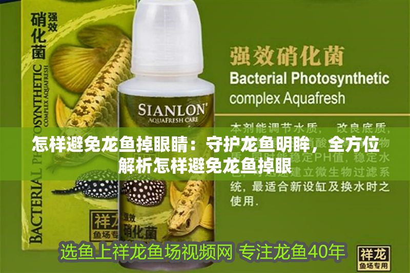 怎樣避免龍魚掉眼睛：守護龍魚明眸，全方位解析怎樣避免龍魚掉眼
