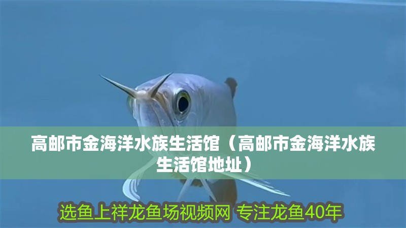 高郵市金海洋水族生活館（高郵市金海洋水族生活館地址）