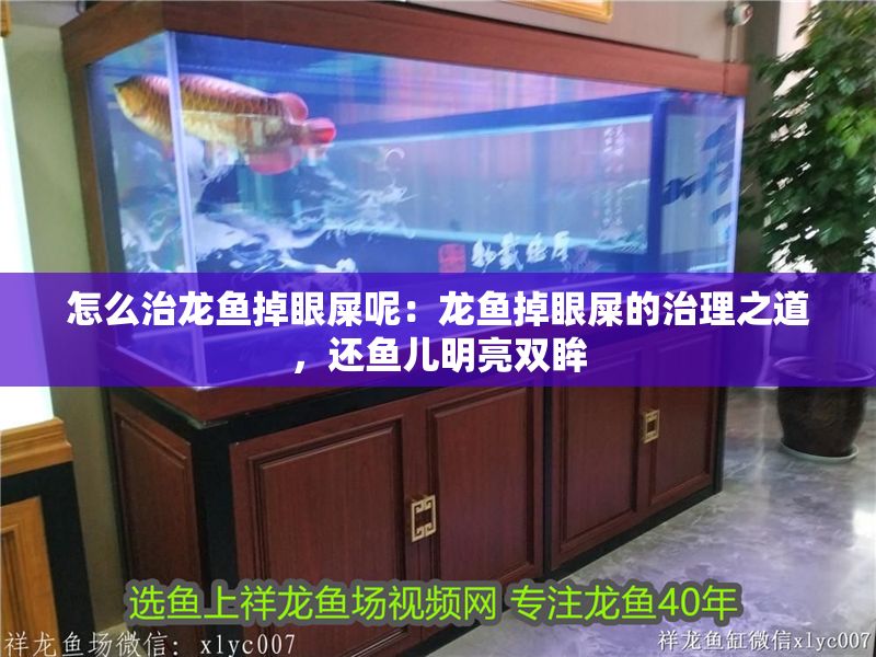 怎么治龍魚掉眼屎呢：龍魚掉眼屎的治理之道，還魚兒明亮雙眸