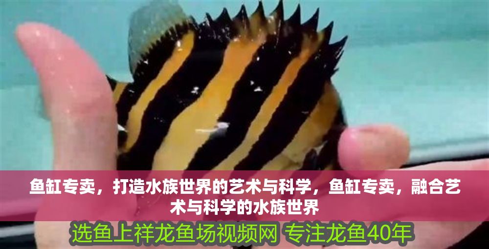 魚缸專賣，打造水族世界的藝術(shù)與科學(xué)，魚缸專賣，融合藝術(shù)與科學(xué)的水族世界 魚缸專賣，打造水族世界的藝術(shù)與科學(xué)，魚缸專賣，融合藝術(shù)與科學(xué)的水族世界 龍魚常見(jiàn)疾病 第1張