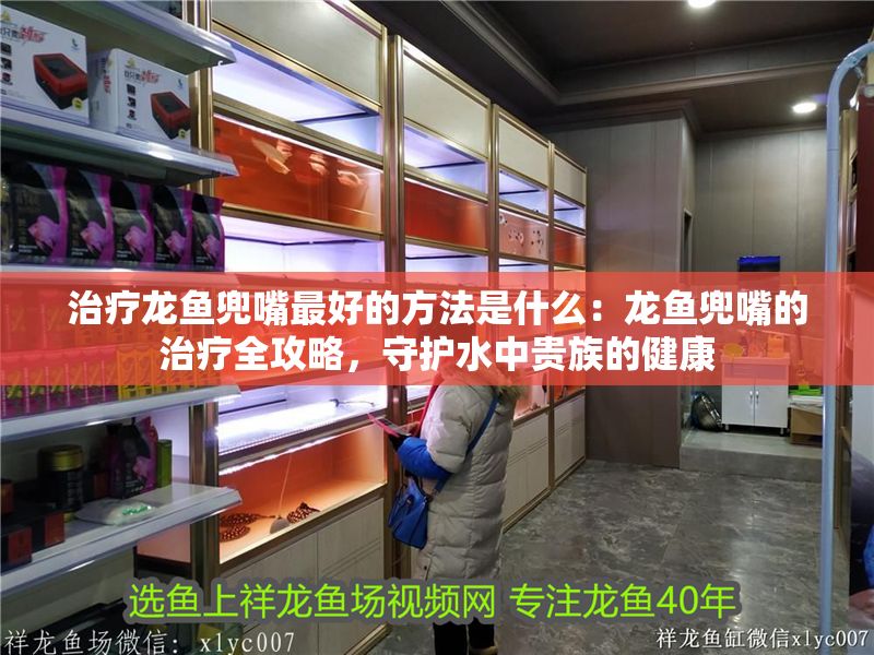 治療龍魚兜嘴最好的方法是什么：龍魚兜嘴的治療全攻略，守護水中貴族的健康