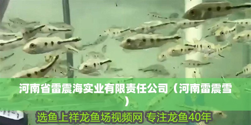 <strong><mark>河南</mark></strong>省雷震海實(shí)業(yè)有限責(zé)任公司（<strong><mark>河南</mark></strong>雷震雪）