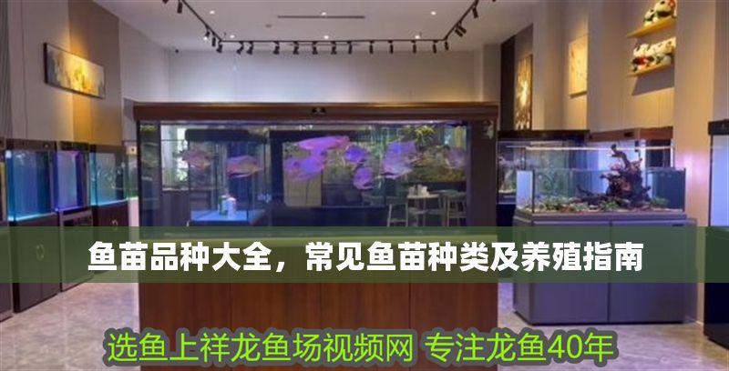 魚苗品種大全，常見魚苗種類及養殖指南