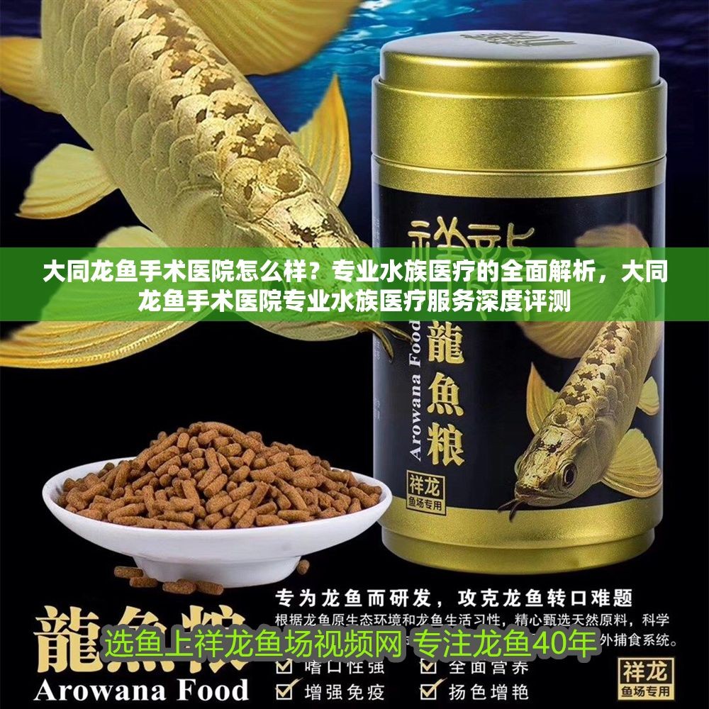 大同龍魚手術醫院怎么樣？專業水族醫療的全面解析，大同龍魚手術醫院專業水族醫療服務深度評測 大同龍魚手術醫院怎么樣？專業水族醫療的全面解析，大同龍魚手術醫院專業水族醫療服務深度評測 龍魚百科 第1張