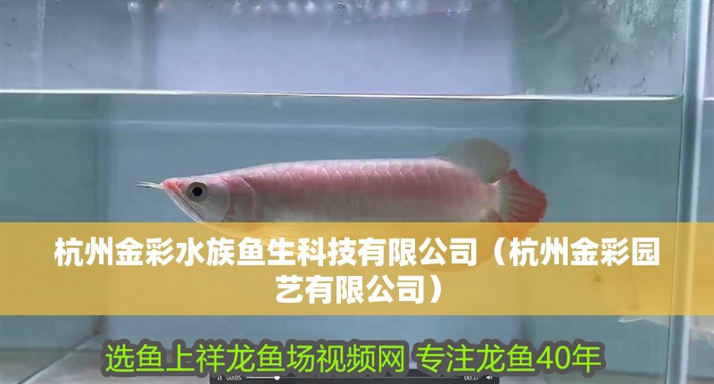 杭州金彩水族魚生科技有限公司（杭州金彩園藝有限公司）