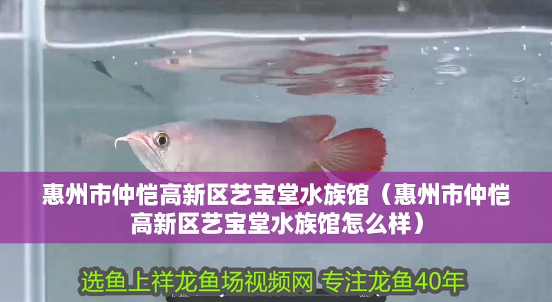惠州市仲愷高新區(qū)藝寶堂水族館（惠州市仲愷高新區(qū)藝寶堂水族館怎么樣）