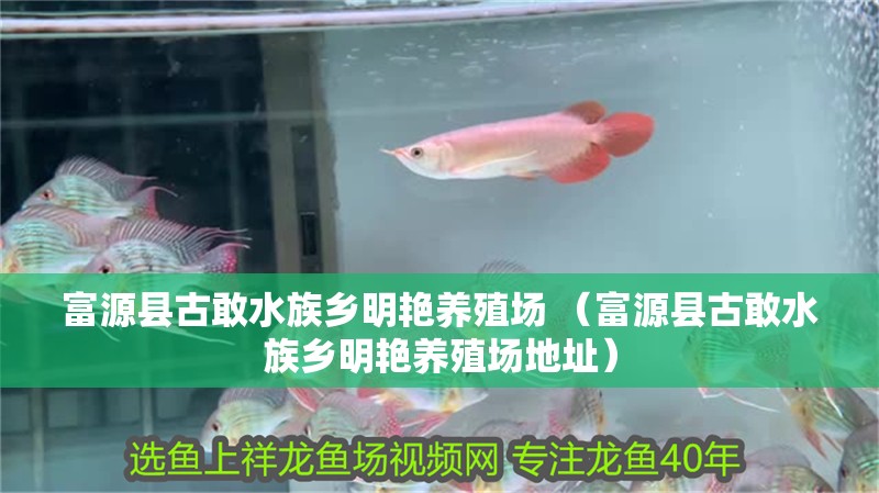 富源縣古敢水族鄉明艷養殖場 （富源縣古敢水族鄉明艷養殖場地址）