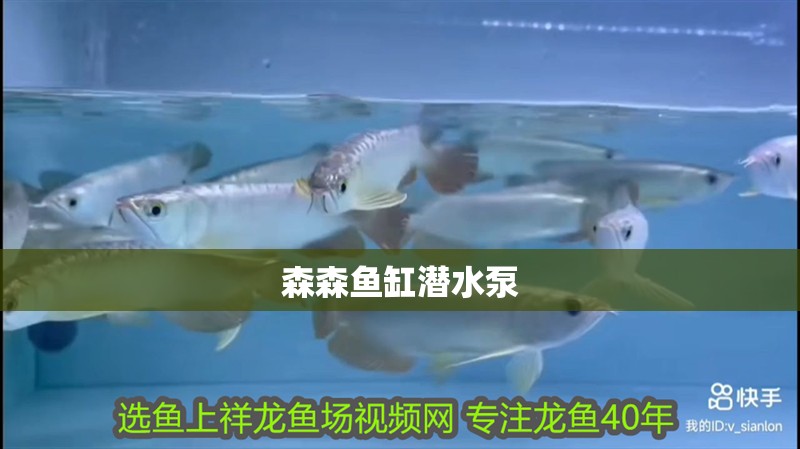 森森魚缸潛水泵