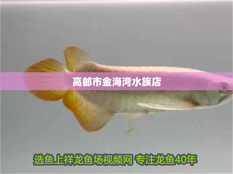 高郵市金海灣水族店