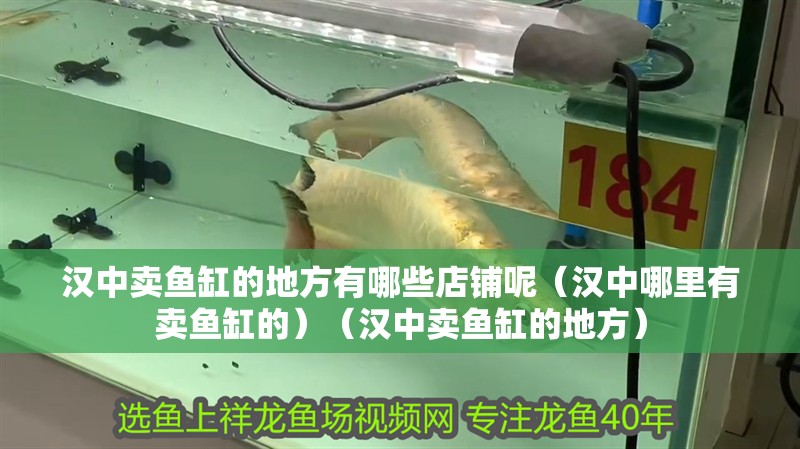 漢中賣魚缸的地方有哪些店鋪呢（漢中哪里有賣魚缸的）（漢中賣魚缸的地方）