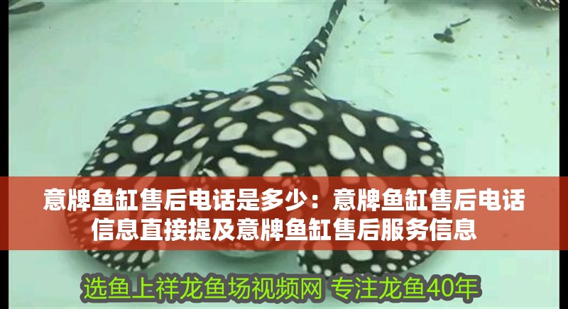 意牌魚缸售后電話是多少：意牌魚缸售后電話信息直接提及意牌魚缸售后服務信息 意牌魚缸售后電話是多少：意牌魚缸售后電話信息直接提及意牌魚缸售后服務信息 魚缸百科