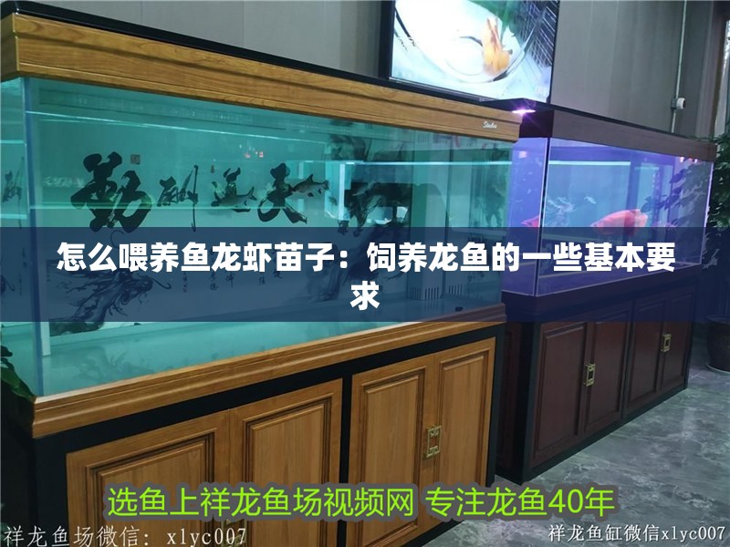 怎么喂養魚龍蝦苗子：飼養龍魚的一些基本要求 怎么喂養魚龍蝦苗子：飼養龍魚的一些基本要求 龍魚百科