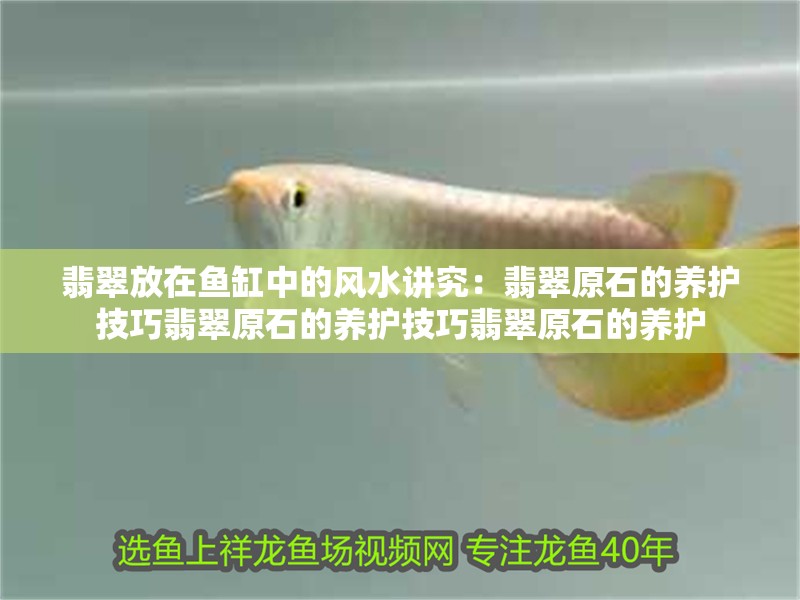 什么魚能和龍魚、虎魚混養(yǎng)(龍魚能和虎魚混養(yǎng)嗎) 翡翠放在魚缸中的風水講究:翡翠原石的養(yǎng)護技巧翡翠原石的養(yǎng)護技巧翡翠原石的養(yǎng)護 魚缸百科 翡翠放在魚缸中的風水講究:翡翠原石的養(yǎng)護技巧翡翠原石的養(yǎng)護技巧翡翠原石的養(yǎng)護 翡翠放在魚缸中的風水講究:翡翠原石的養(yǎng)護技巧翡翠原石的養(yǎng)護技巧翡翠原石的養(yǎng)護 魚缸百科