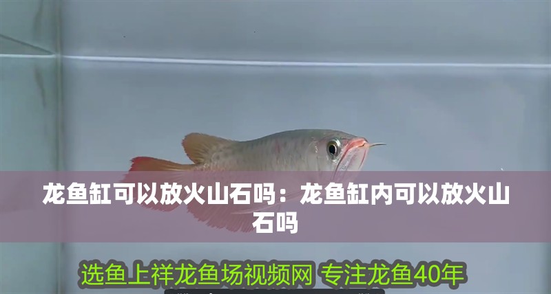 給大魚缸換水的作文:體驗給大魚缸換水的樂趣:體驗給大魚缸換水:給大魚缸換水的作文 龍魚缸可以放火山石嗎:龍魚缸內可以放火山石嗎 龍魚百科 龍魚缸可以放火山石嗎:龍魚缸內可以放火山石嗎 龍魚缸可以放火山石嗎:龍魚缸內可以放火山石嗎 龍魚百科