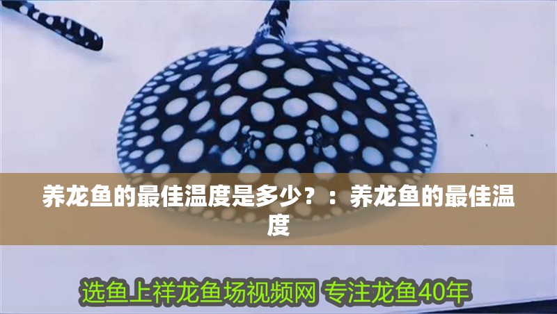 養龍魚的最佳溫度是多少？：養龍魚的最佳溫度