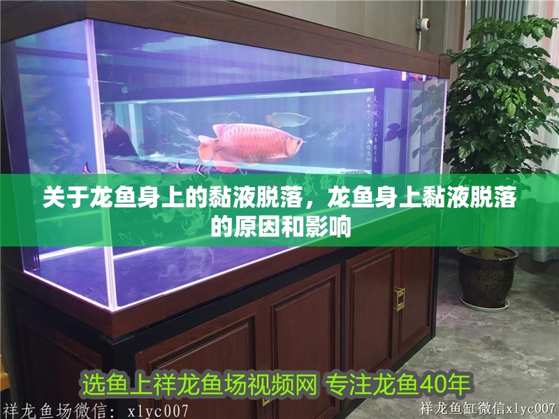 關于龍魚身上的黏液脫落，龍魚身上黏液脫落的原因和影響