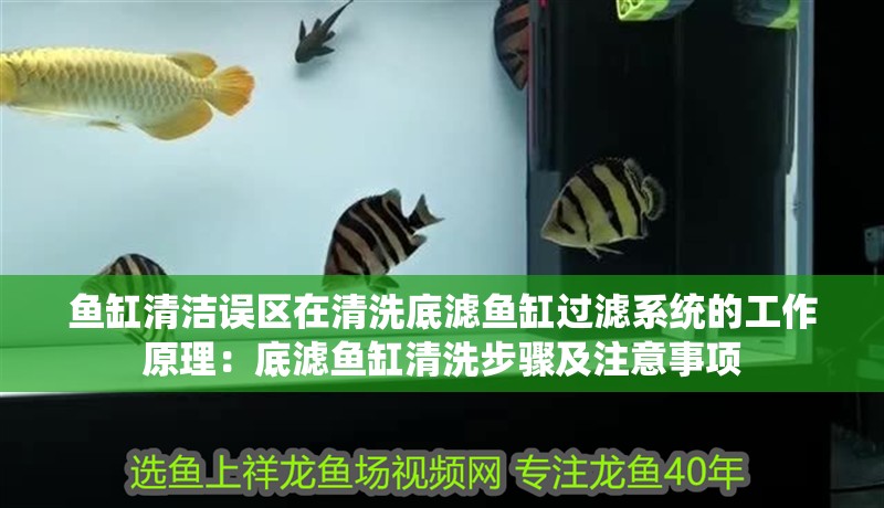 魚缸清潔誤區在清洗底濾魚缸過濾系統的工作原理：底濾魚缸清洗步驟及注意事項