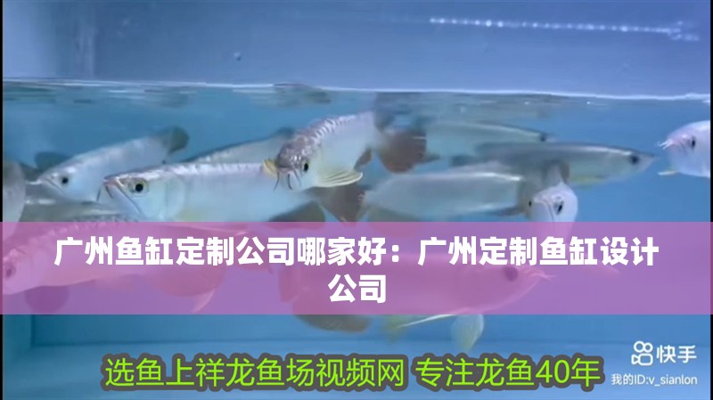 廣州魚缸定制公司哪家好：廣州定制魚缸設計公司