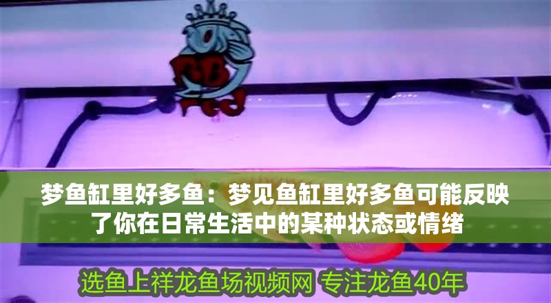 夢魚缸里好多魚：夢見魚缸里好多魚可能反映了你在日常生活中的某種狀態或情緒