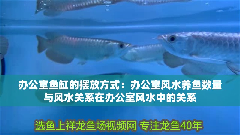 辦公室魚缸的擺放方式：辦公室風水養(yǎng)魚數(shù)量與風水關(guān)系在辦公室風水中的關(guān)系