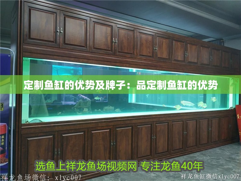 定制魚缸的優勢及牌子：品定制魚缸的優勢