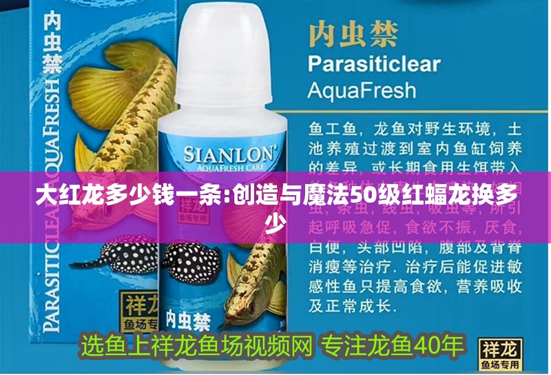 大紅龍多少錢一條:創造與魔法50級紅蝠龍換多少