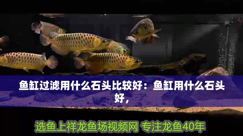 魚缸過濾用什么石頭比較好：魚缸用什么石頭好，