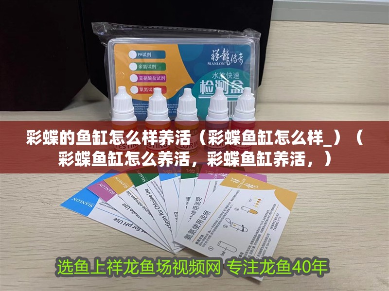 彩蝶的魚缸怎么樣養活（彩蝶魚缸怎么樣_）（彩蝶魚缸怎么養活，彩蝶魚缸養活，）