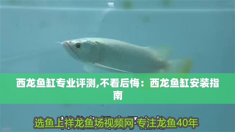 西龍魚缸專業評測,不看后悔：西龍魚缸安裝指南