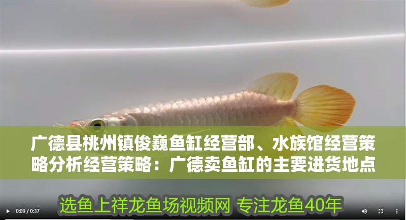 廣德縣桃州鎮(zhèn)俊巍魚缸經(jīng)營部、水族館經(jīng)營策略分析經(jīng)營策略：廣德賣魚缸的主要進(jìn)貨地點(diǎn)