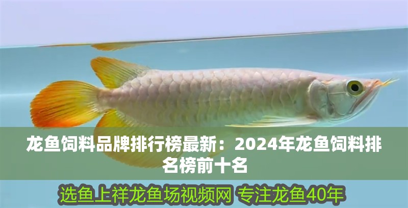 龍魚飼料品牌排行榜最新：2024年龍魚飼料排名榜前十名