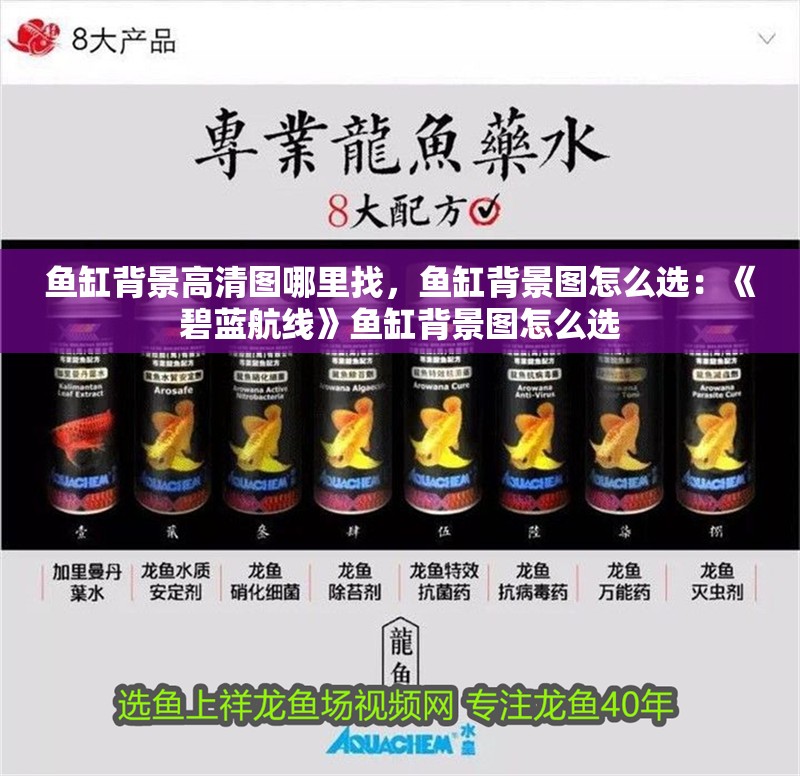 魚缸背景高清圖哪里找，魚缸背景圖怎么選：《碧藍航線》魚缸背景圖怎么選 魚缸背景高清圖哪里找，魚缸背景圖怎么選：《碧藍航線》魚缸背景圖怎么選 魚缸百科