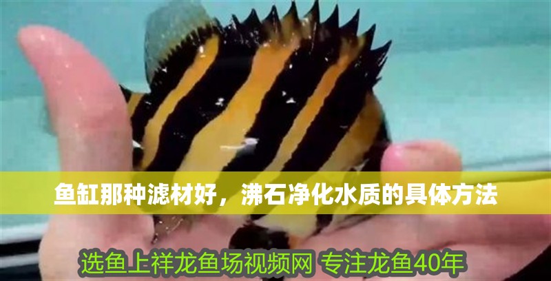 魚缸那種濾材好，沸石凈化水質的具體方法
