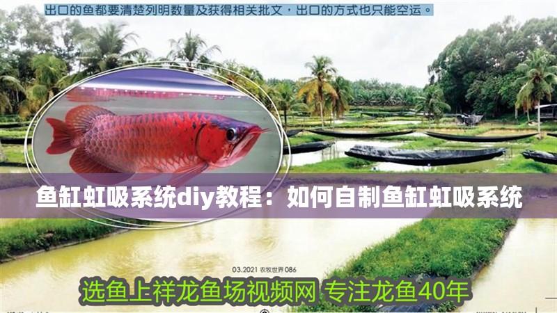魚缸虹吸系統diy教程：如何自制魚缸虹吸系統