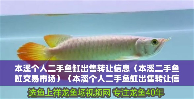 本溪個人二手魚缸出售轉讓信息（本溪二手魚缸交易市場）（本溪個人二手魚缸出售轉讓信息）