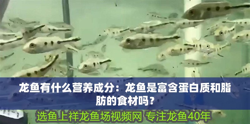 龍魚有什么營養成分：龍魚是富含蛋白質和脂肪的食材嗎？