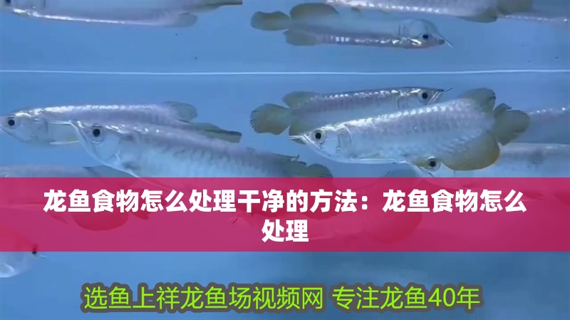 龍魚食物怎么處理干凈的方法：龍魚食物怎么處理