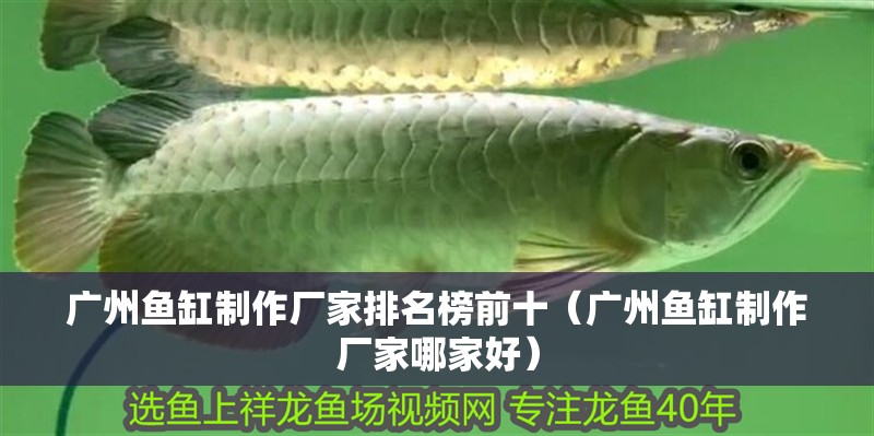 廣州魚缸制作廠家排名榜前十（廣州魚缸制作廠家哪家好）