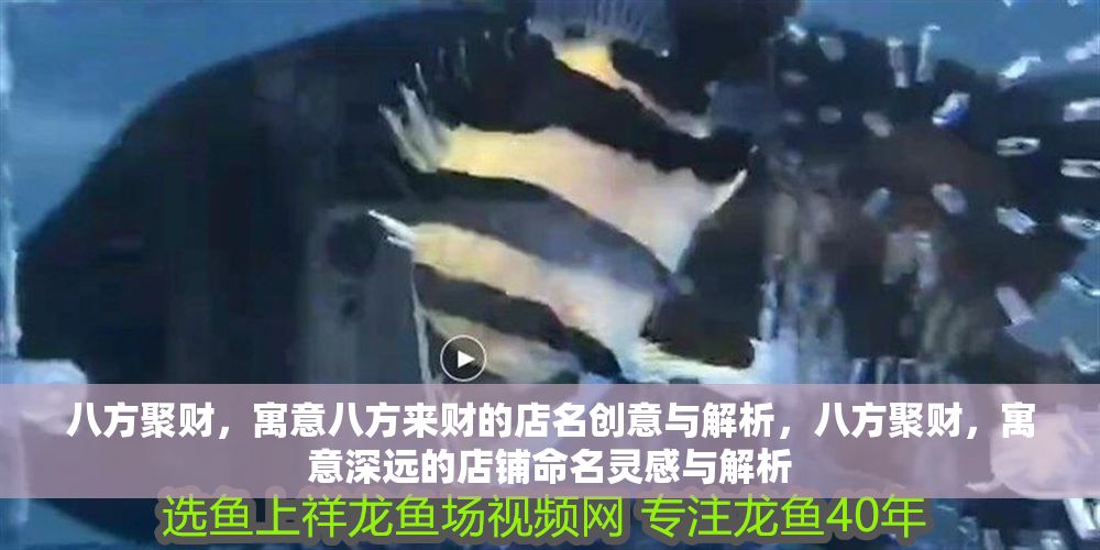 八方聚財，寓意八方來財的店名創意與解析，八方聚財，寓意深遠的店鋪命名靈感與解析 八方聚財，寓意八方來財的店名創意與解析，八方聚財，寓意深遠的店鋪命名靈感與解析 龍魚百科 第1張