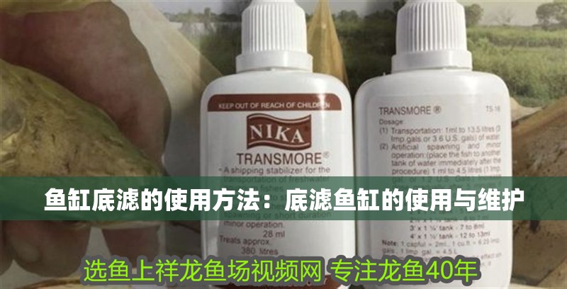 魚缸底濾的使用方法：底濾魚缸的使用與維護(hù)